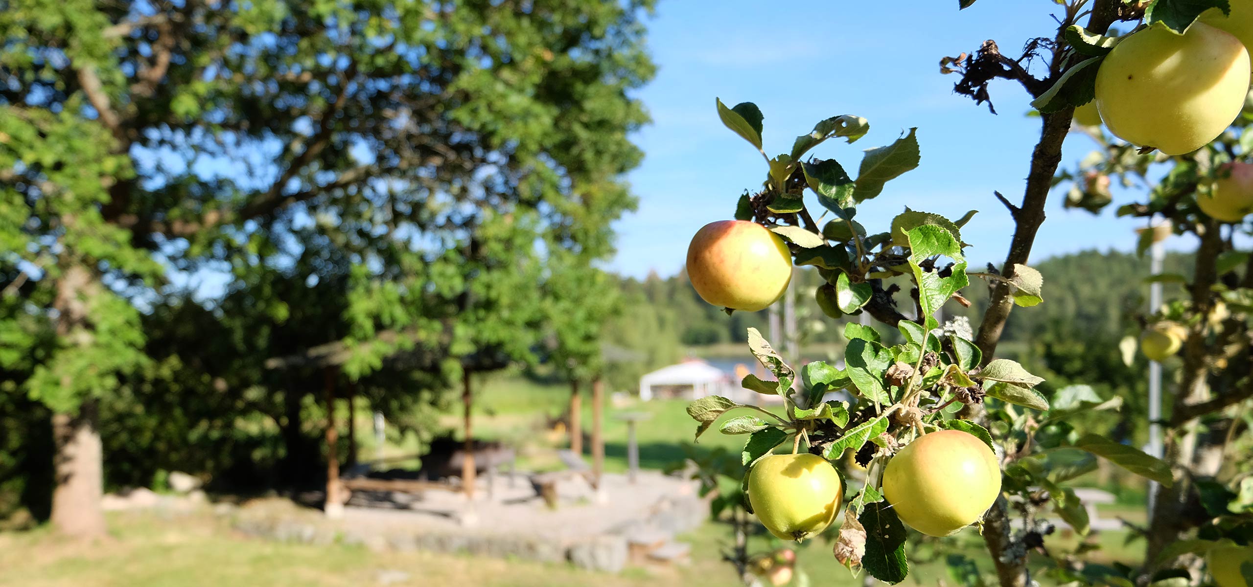 Äpplen i Torpstaden